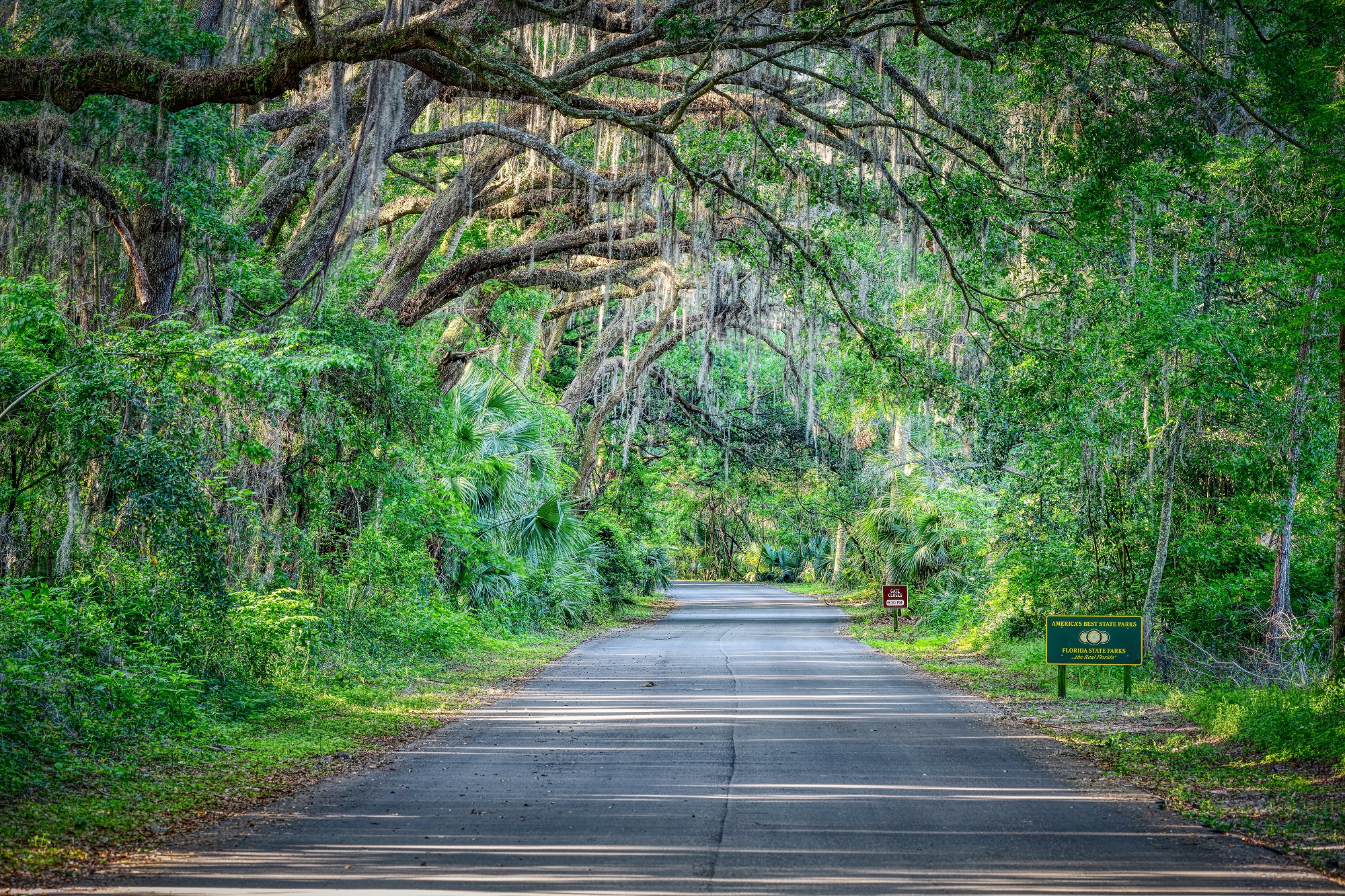 Florida scenery